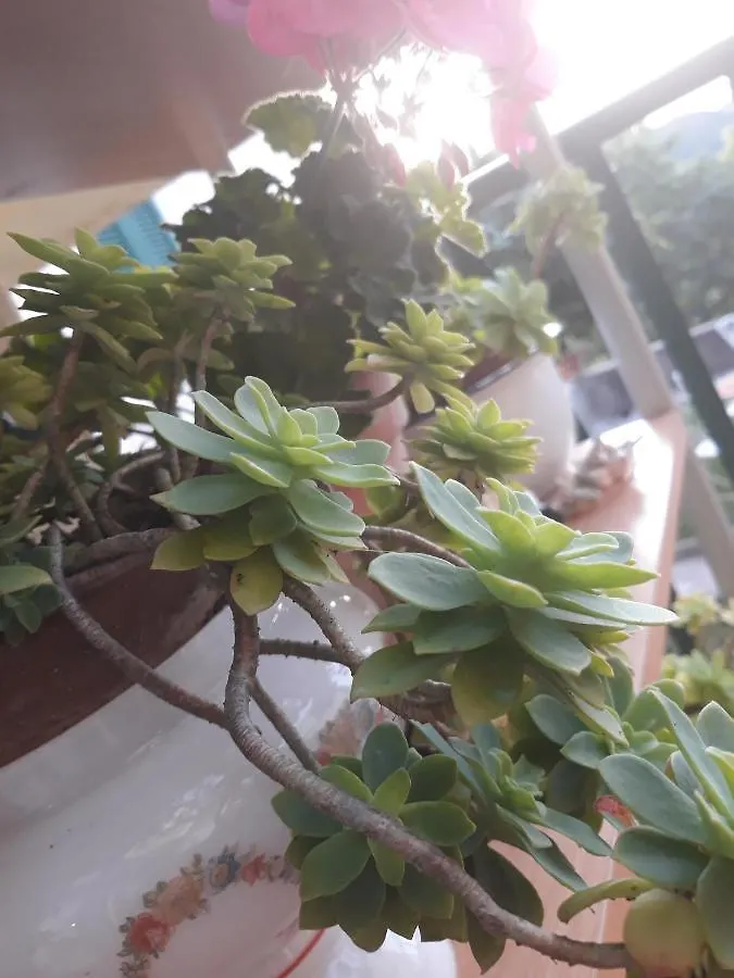 B&B Peverello Castelnuovo Magra Italy