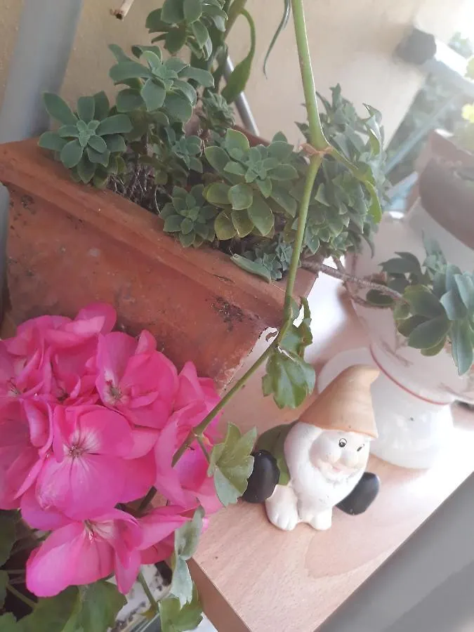 Bed & Breakfast B&B Peverello Castelnuovo Magra