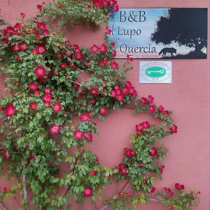 Il Lupo E La Quercia Bed & Breakfast